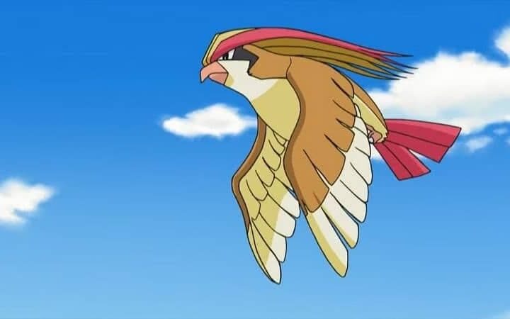 10 Pokémon que deram muito errado - 06/10/2017 - UOL Start